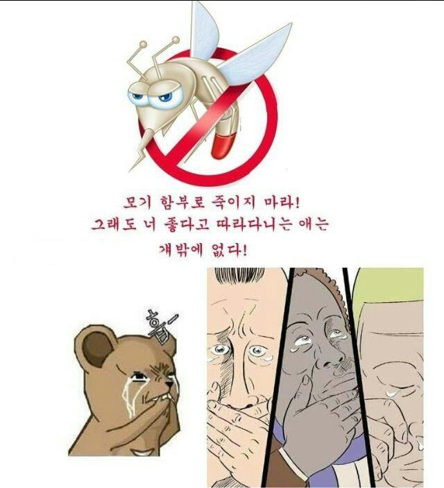 모기함부로죽이지마라.jpg